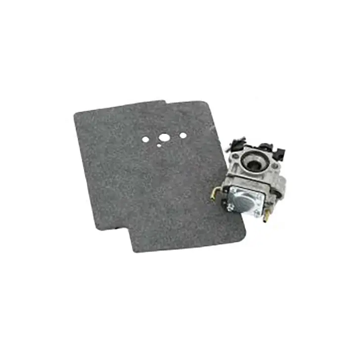 Carburettor Kit Service Parts Begränsat antal