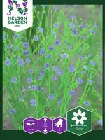 Fröer Nelson Garden Lin Spånads- Blå Extra rabatt